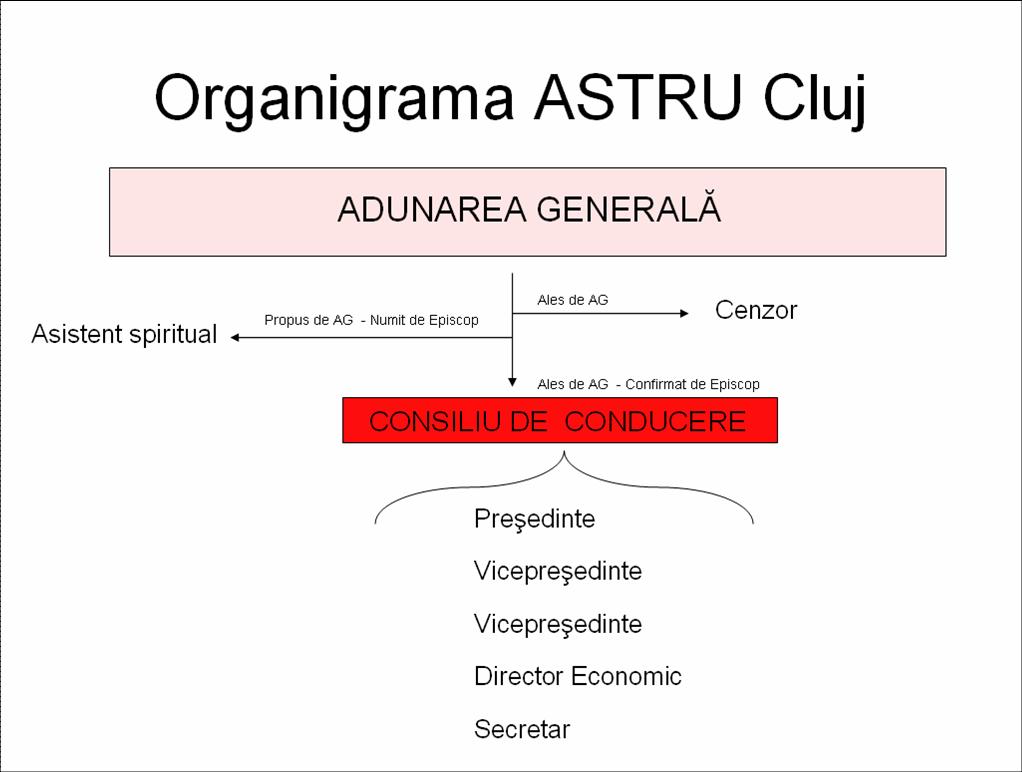 organigrama-astru-cluj.jpg